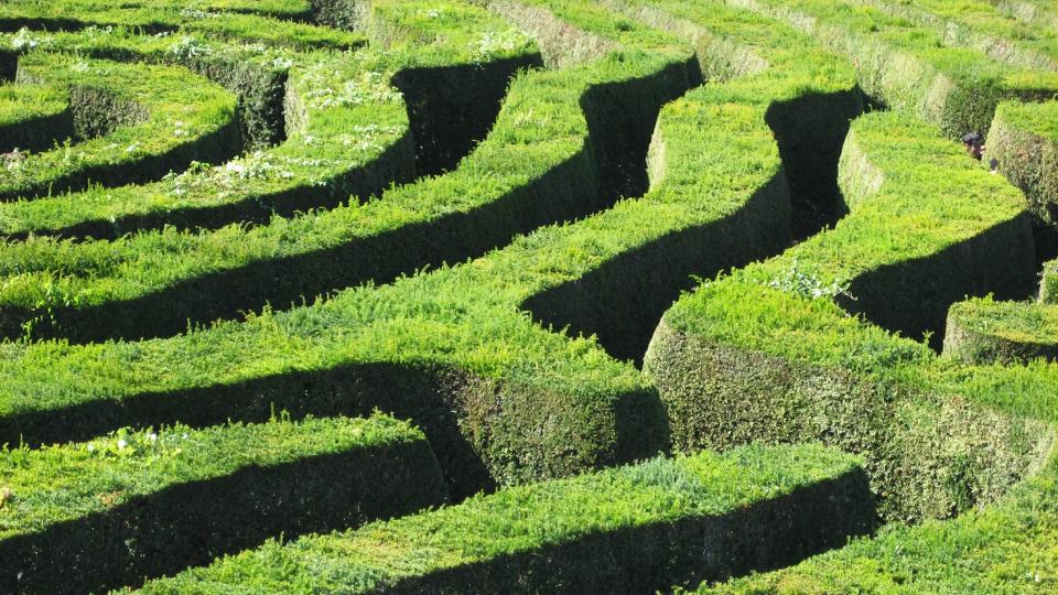  Sustainable finance. Photo via Unsplash CC-BY-2.0. Select this item The maze at Longleat, as illustration for the complexity of sustainable finance. Photo via Flickr by Antony Theobald CC-BY-2.0