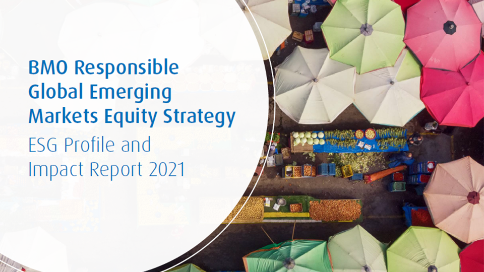 BMO Responsible Global Equity Strategy - Impact Report 2021