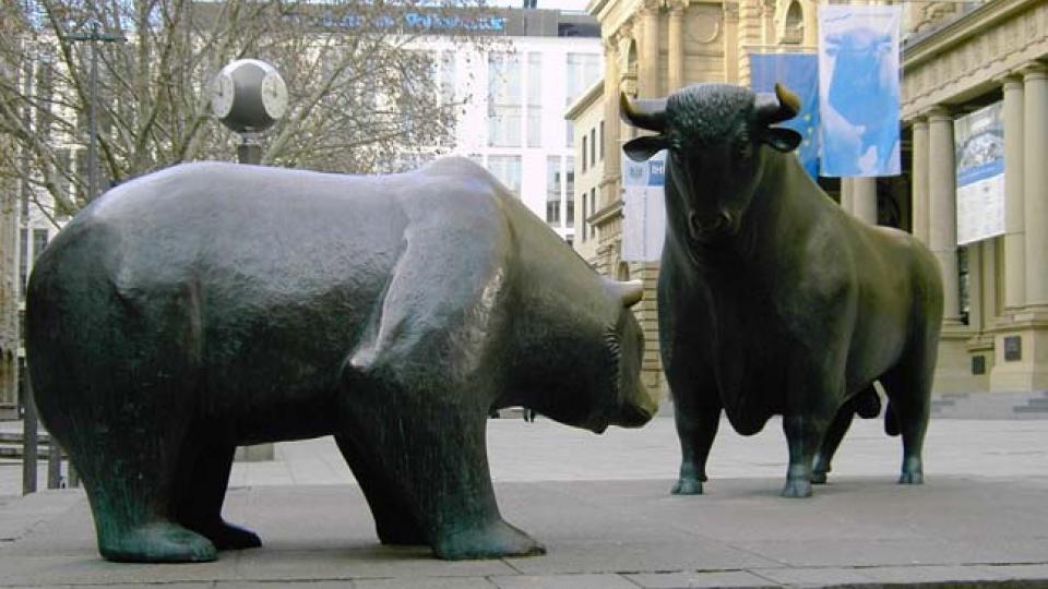 Bear & bull