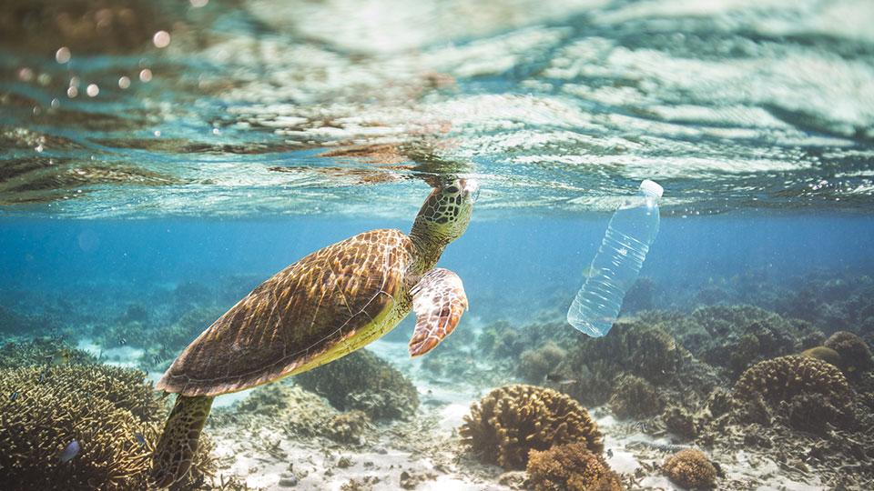 AXA IM launches an equity fund dedicated to the plastic and waste transition