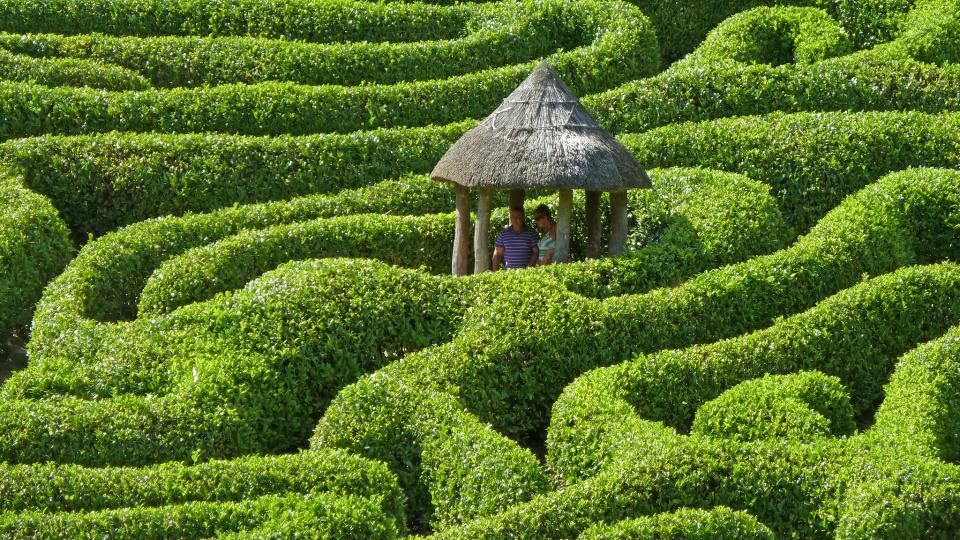 Green maze. Photo via Flickr CC-BY-2.0.