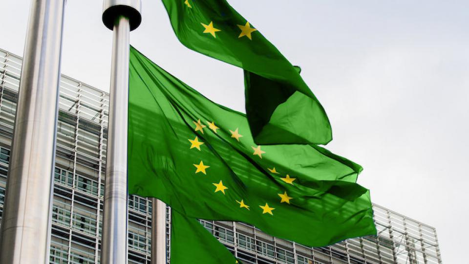 Green EU flags at the European Commission's Berlaymont building in Brussels. Photo: EC.