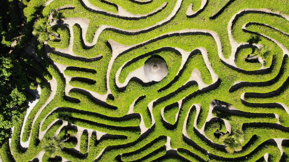 A green maze. Photo by Benjamin Elliott on Unsplash.