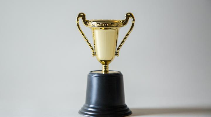 Trophy, image via Unsplash